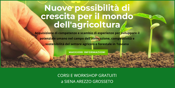 settore agricolo